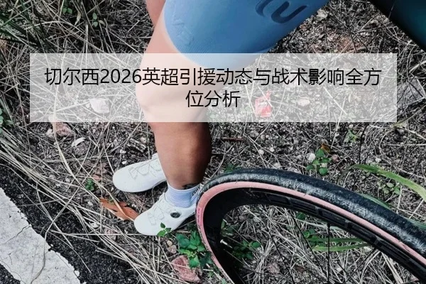 切尔西2026英超引援动态与战术影响全方位分析